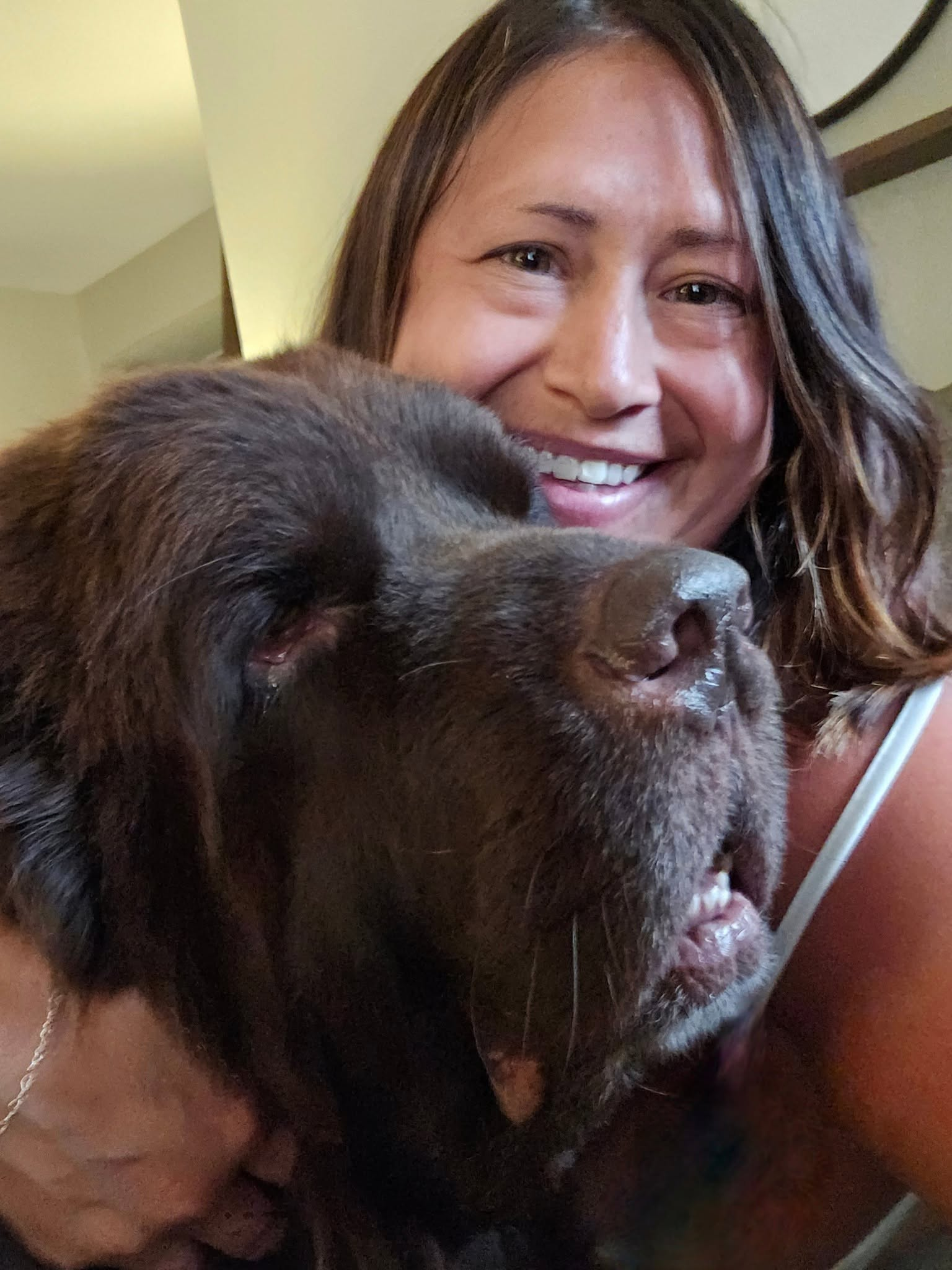 Julie cuddling a big brown Newfoundland